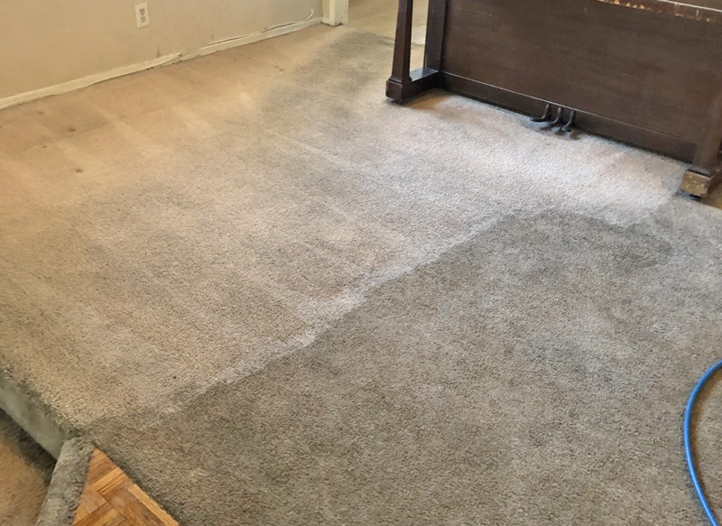 Carpet Cleaning in Sky Valley, California (4706)