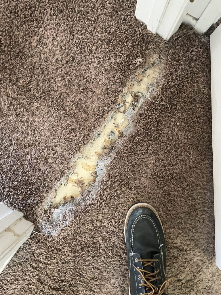 Carpet Repair in Winchester, California (6984)
