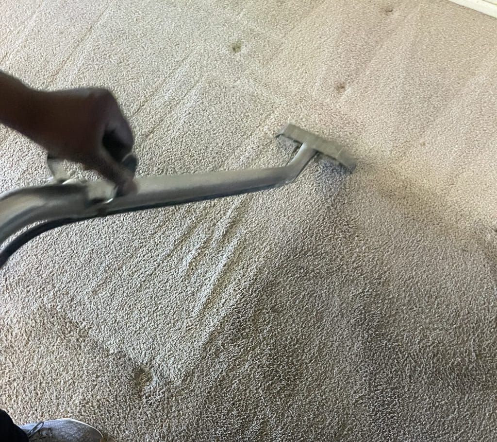 Carpet Cleaning in East Hemet, California (4546)