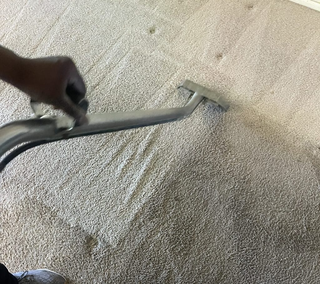 Mattress Cleaning