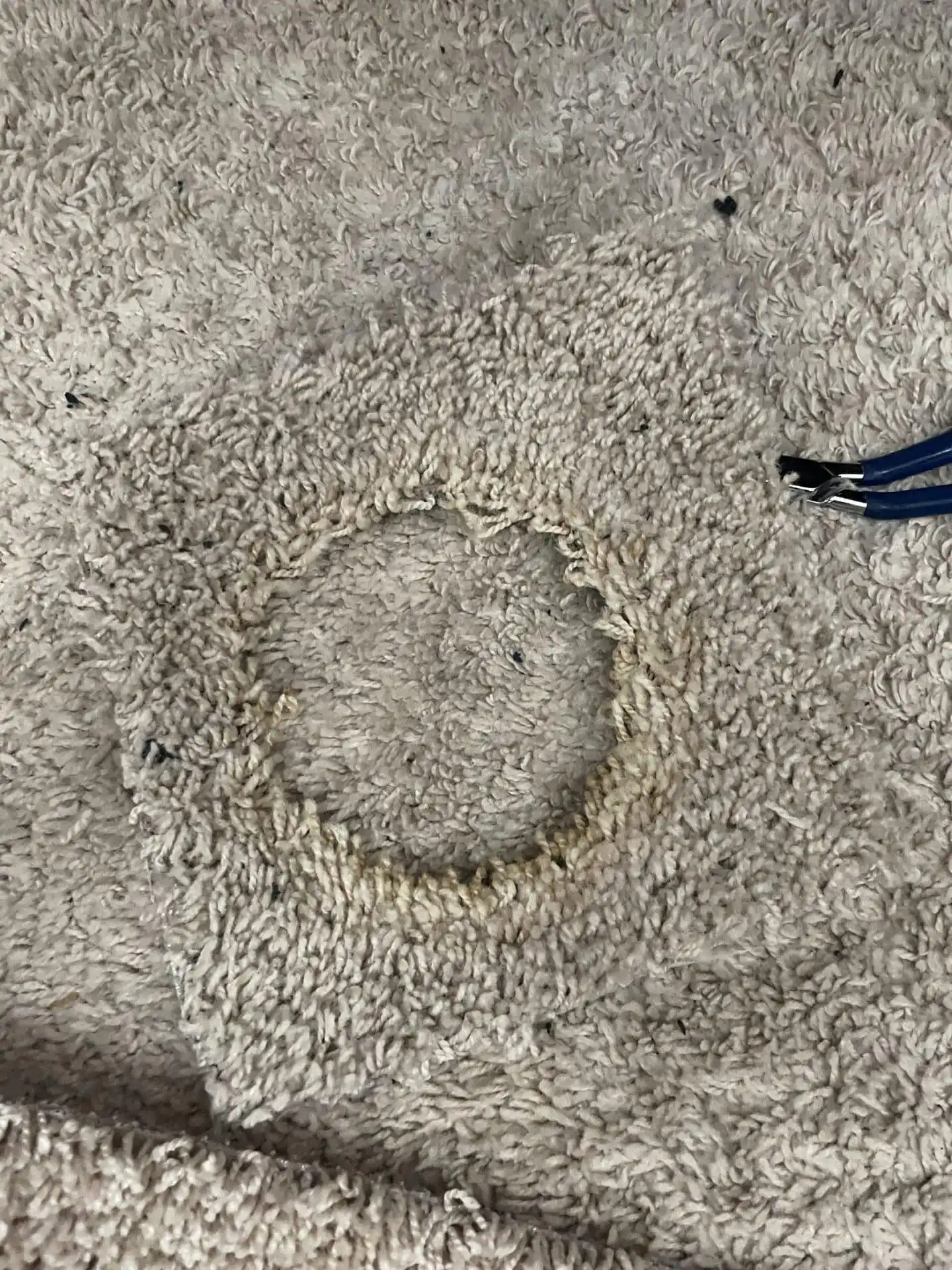 Getting Rid of Ripples: A Guide to Carpet Repair