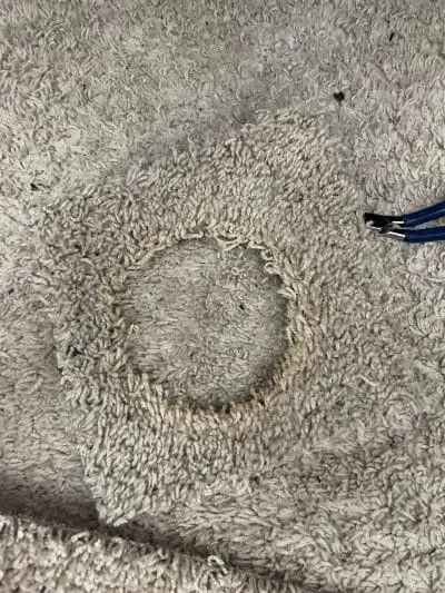 Why Hot Water Extraction Is Effective for Carpets