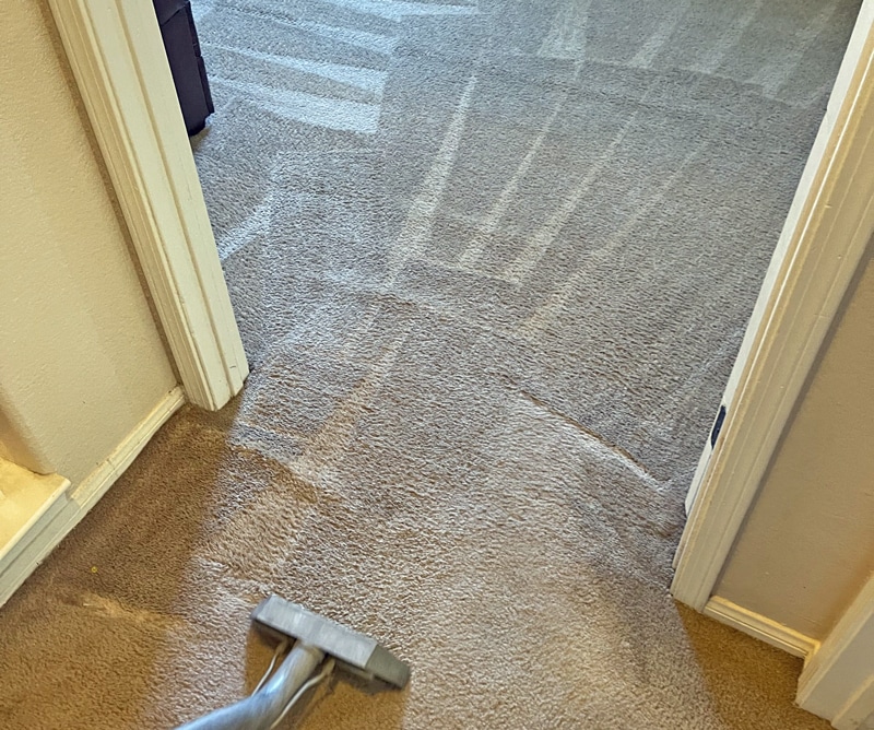 Carpet Cleaning in Hesperia, California (2981)