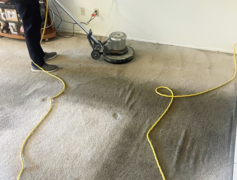 Carpet Cleaning in Chino Hills, California (9860)