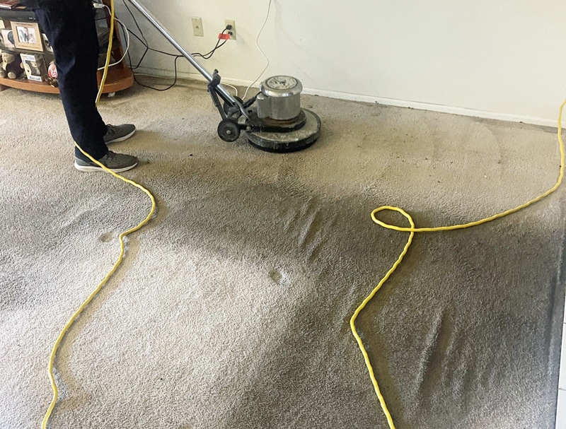 Carpet Cleaning in Lakeview, California (8295)