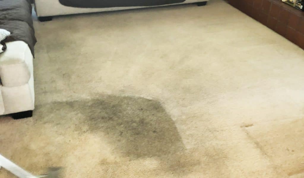 Carpet Cleaning in Redlands, California (6918)