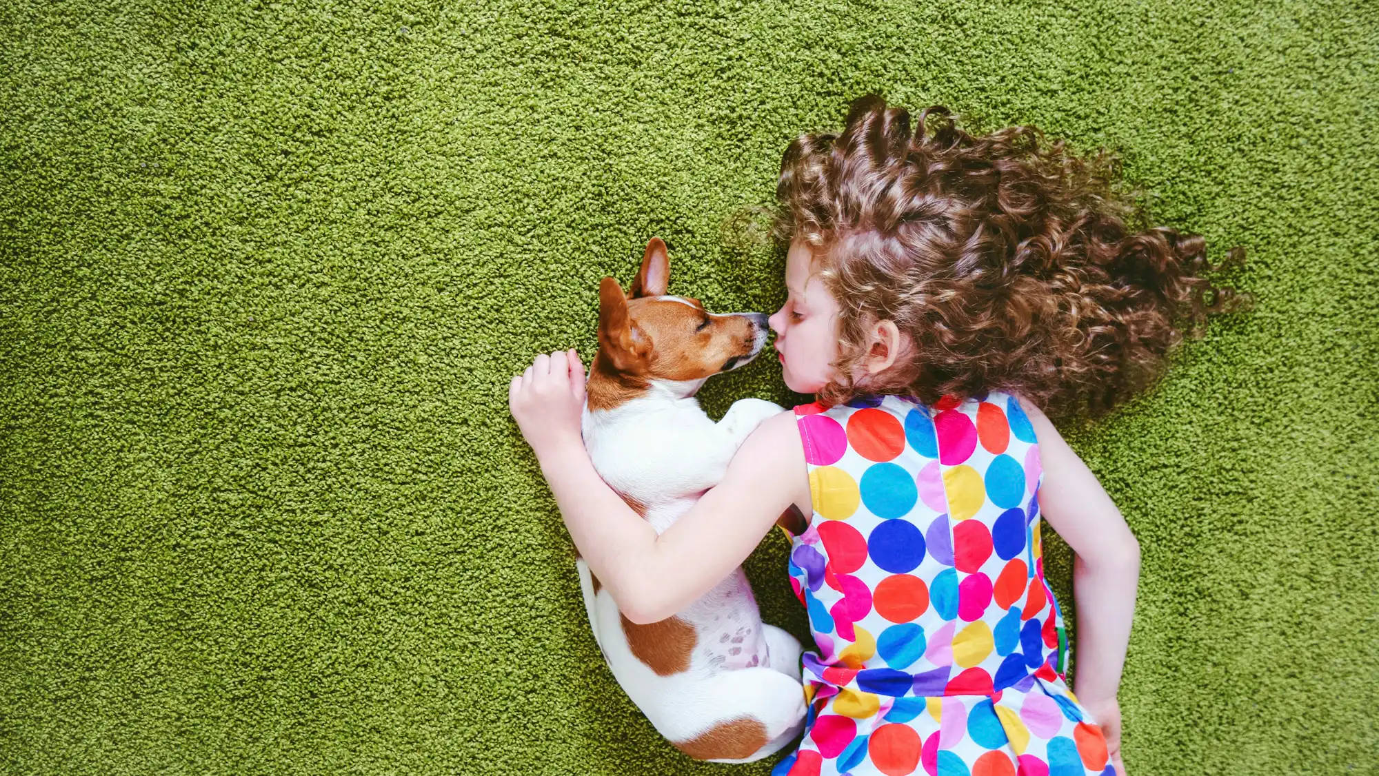 Understanding Different Carpet Cleaning Methods