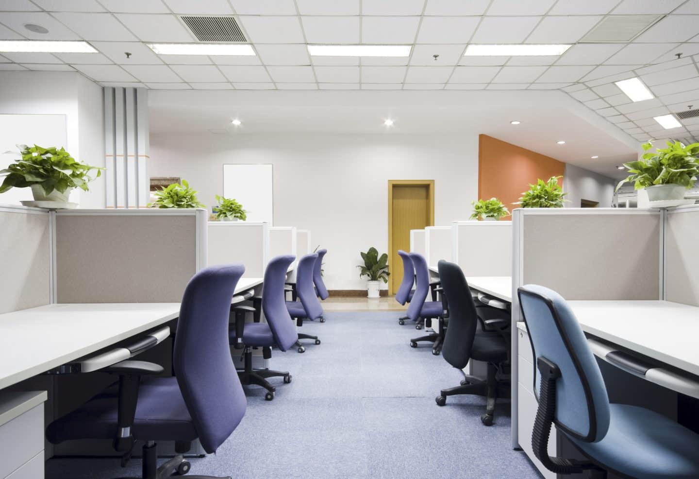 Why Call Professional Floor and Carpet Installation