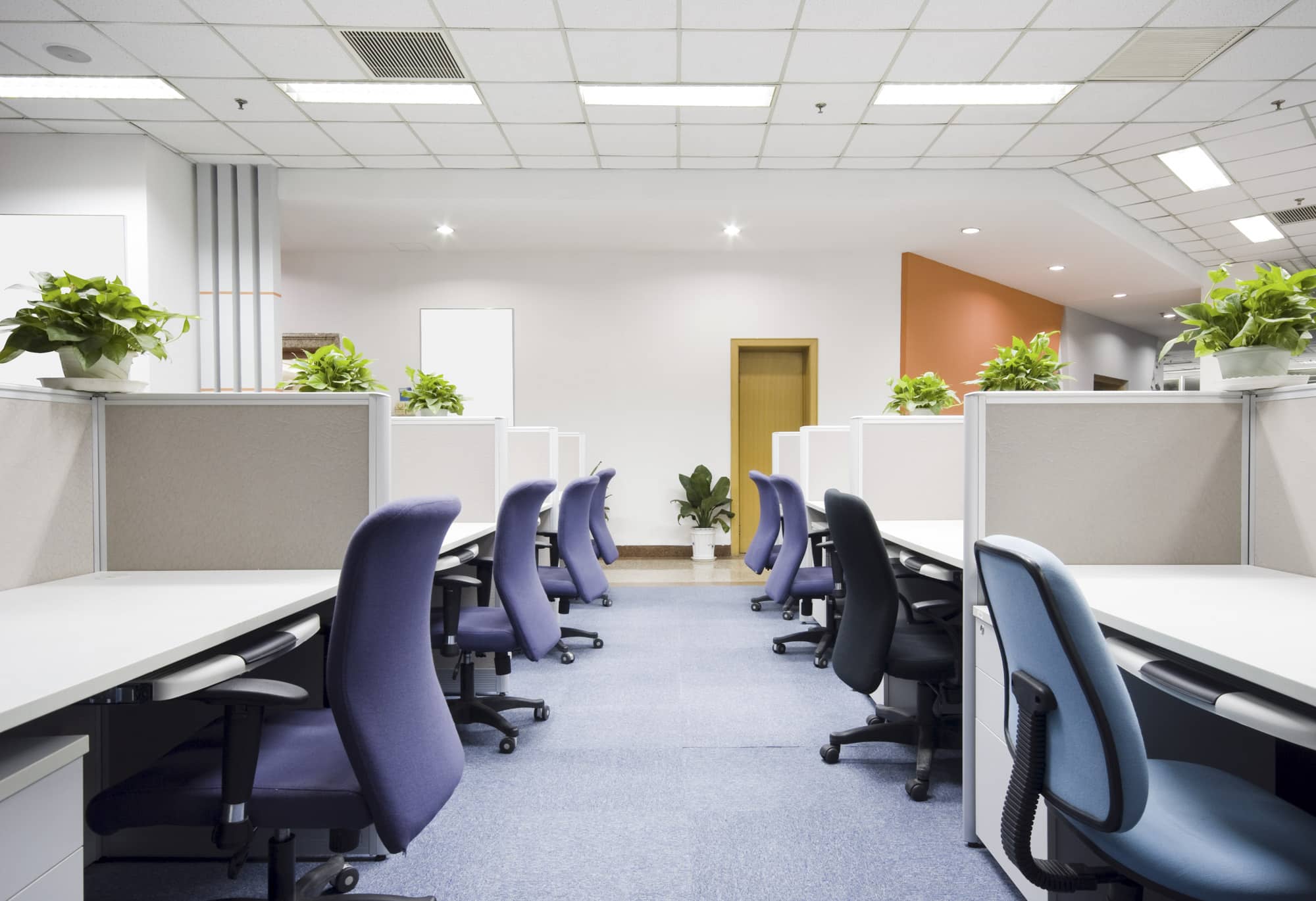 Why Call Professional Floor and Carpet Installation